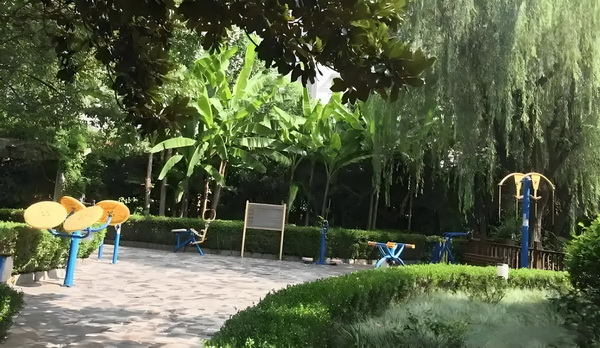庶女传奇：名门替身妃